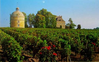 French Nobility Descendants Involved in Politics & Wine